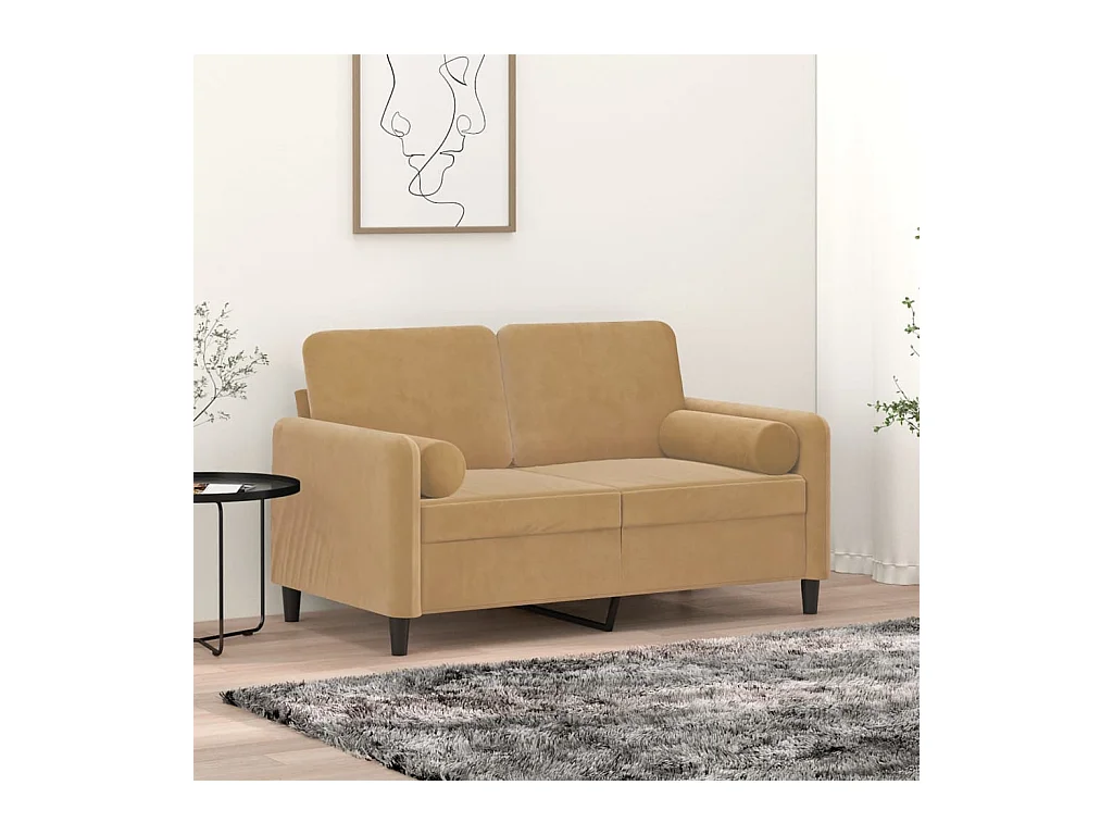 Coussins décoratifs 2 pcs Marron Ø15x50 cm Velours OFR30148