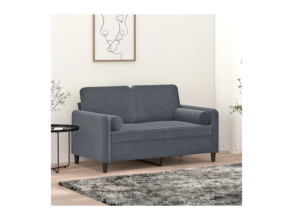 Coussins décoratifs 2 pcs Gris foncé Ø15x50 cm Velours OFR78062
