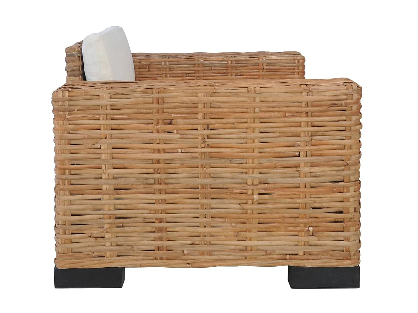 2-delig Bankstel met kussens natuurlijk rattan NL930290