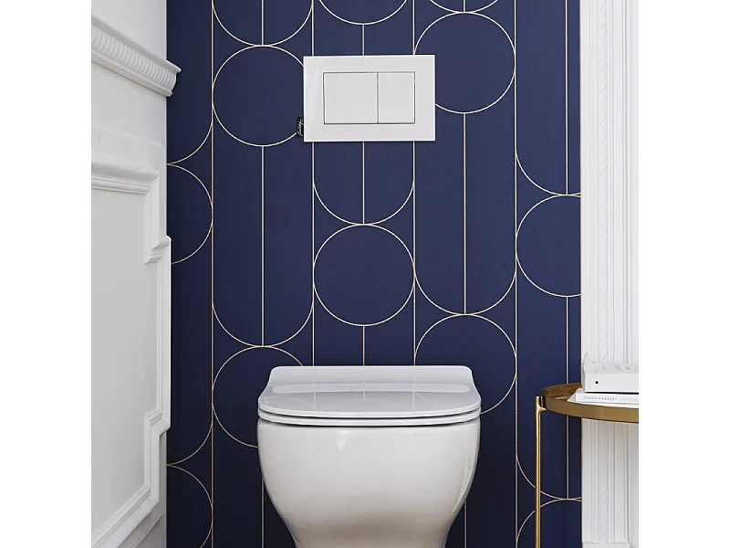 Plaque de commande JACOB DELAFON, double touches rectangulaires, Blanc brillant