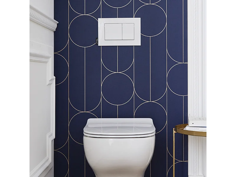 Plaque de commande JACOB DELAFON, double touches rectangulaires, Blanc brillant