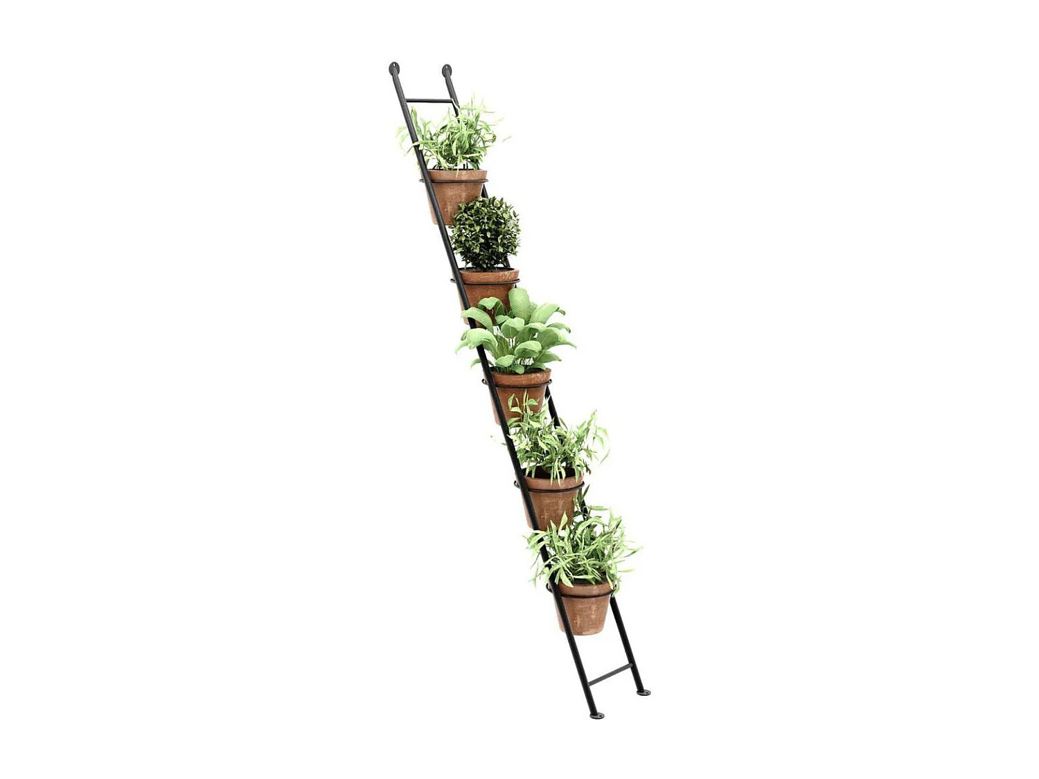 Support à plantes en acier Ladder