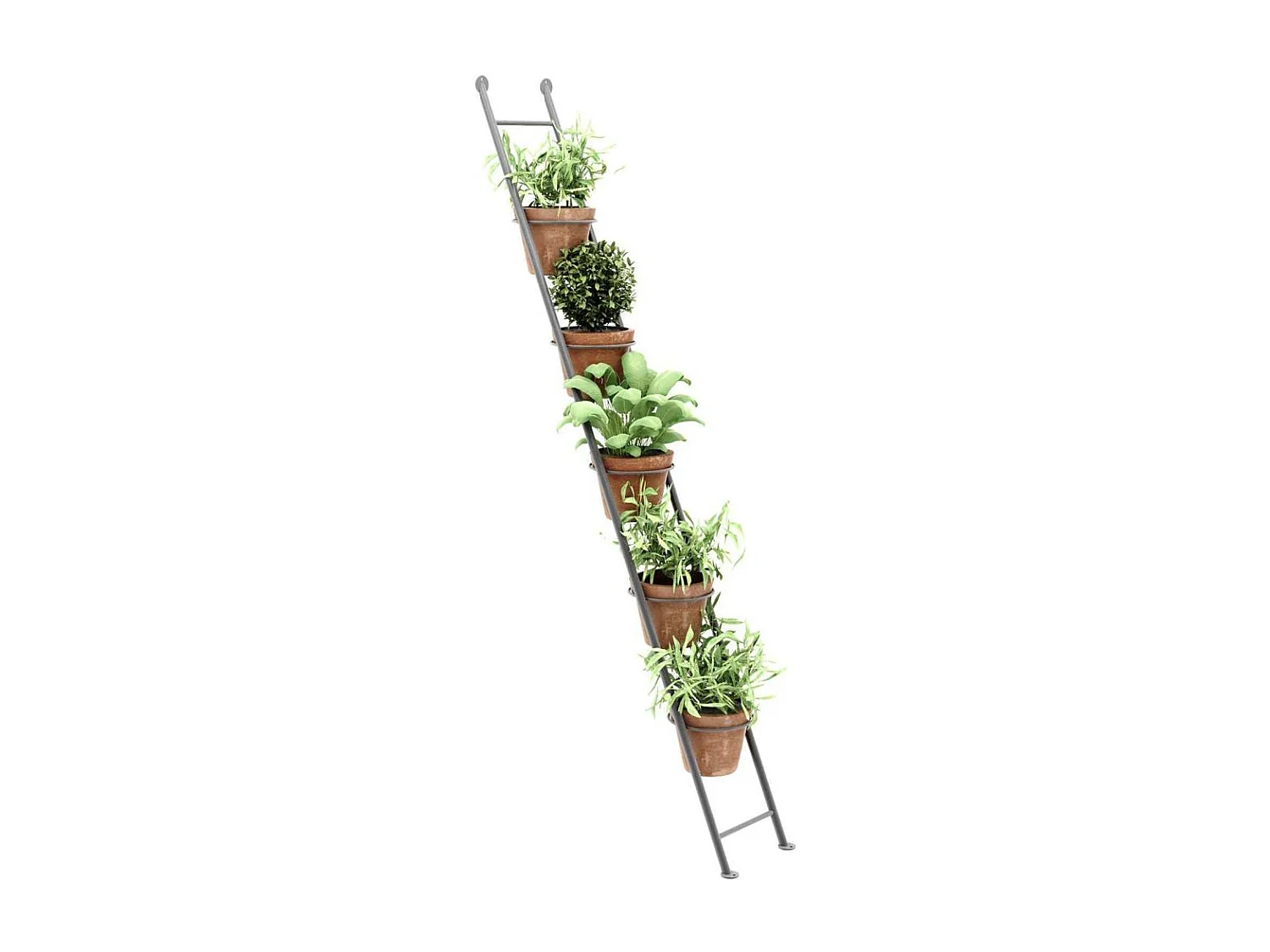 Support à plantes en acier Ladder