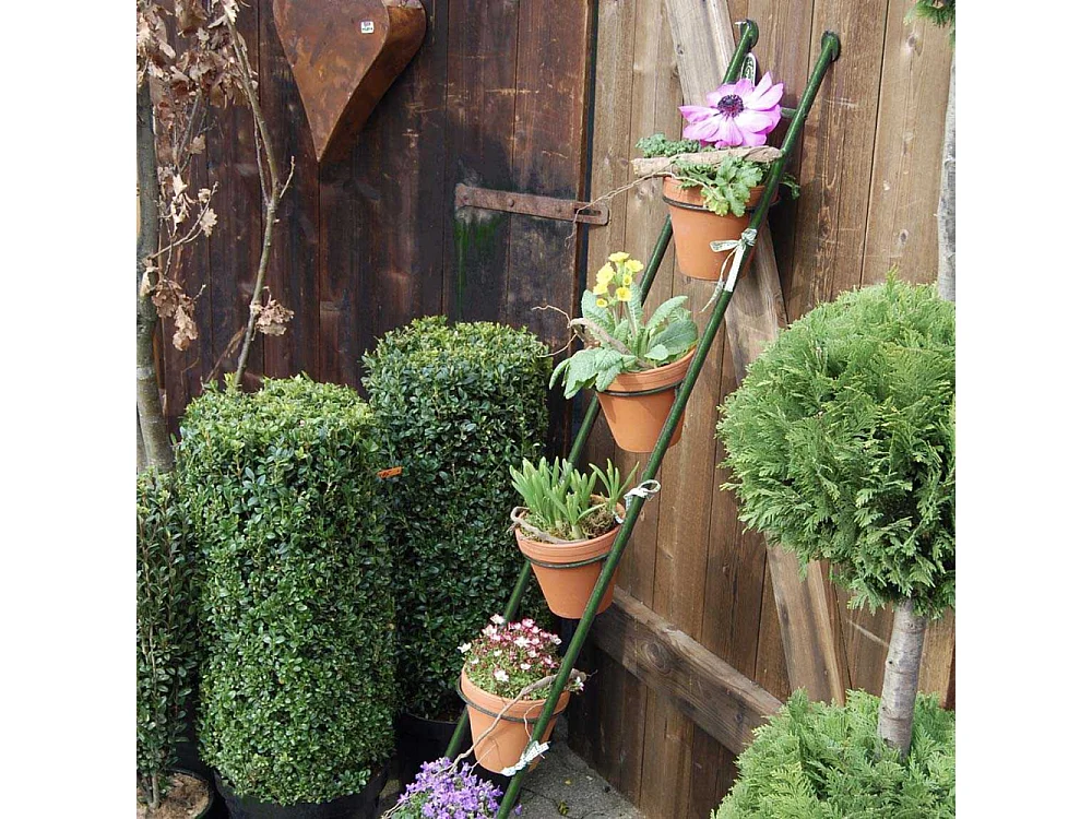 Support à plantes en acier Ladder