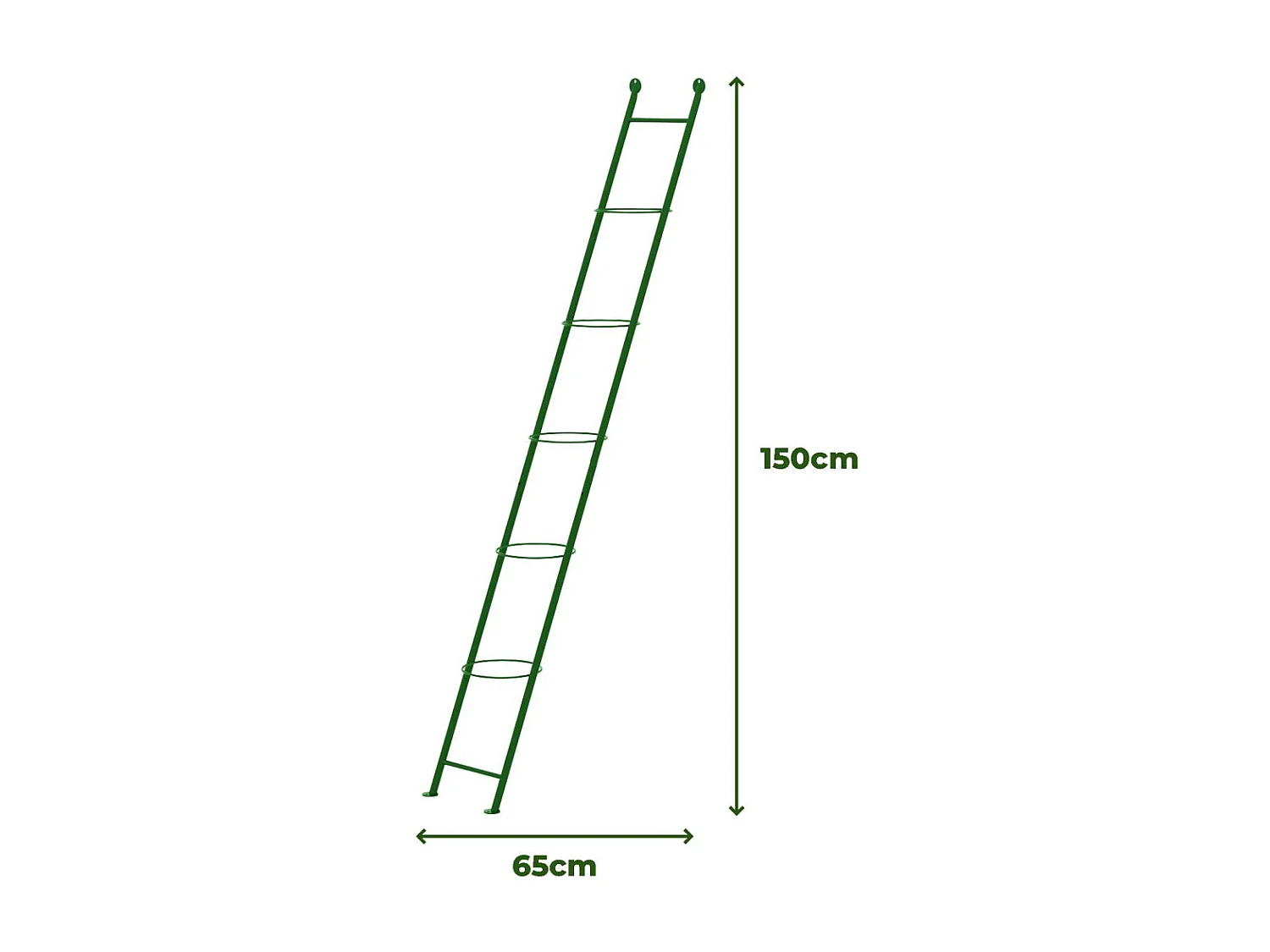 Support à plantes en acier Ladder
