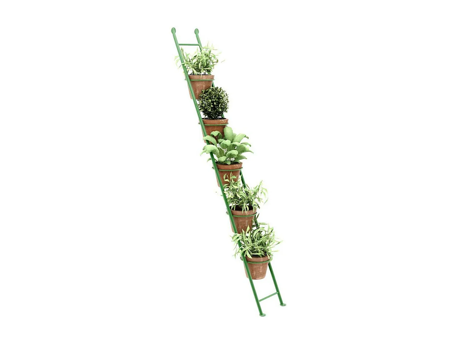 Support à plantes en acier Ladder