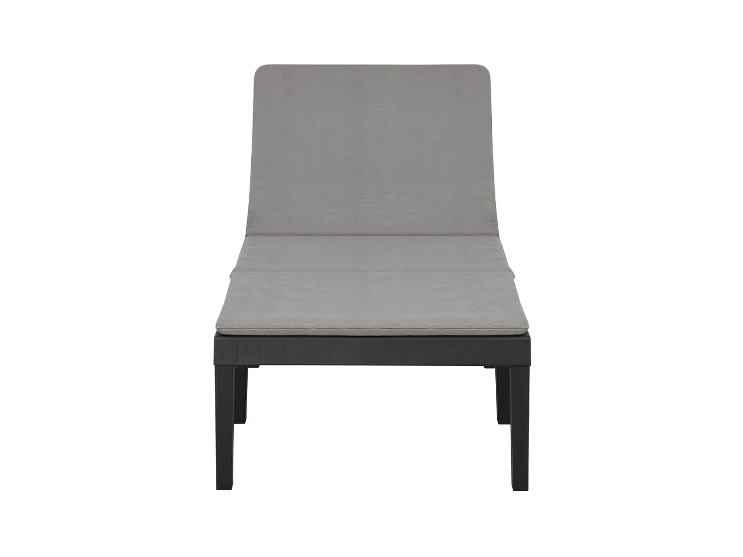 Bain de soleil avec coussin Plastique Anthracite SEF30614