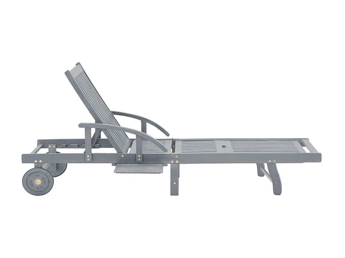 Bain de soleil de jardin Gris Bois d'acacia solide SEF83581