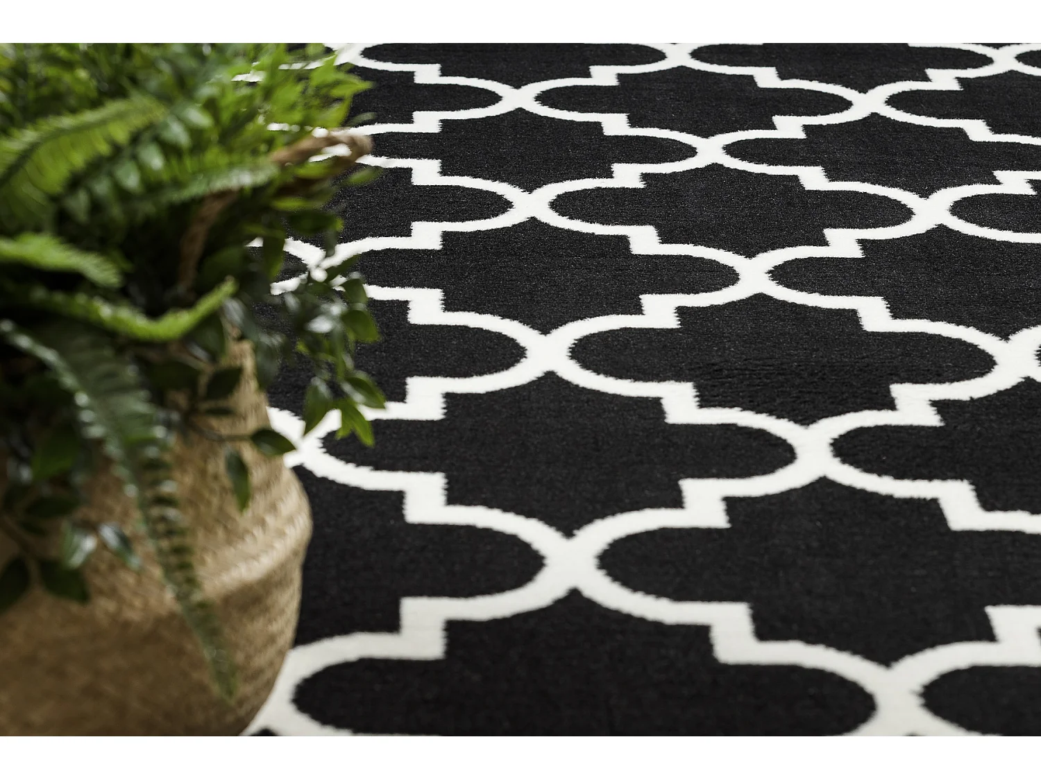 BCF Rug Morad TRELIS Treliças marroquinas - preto 200x300 cm