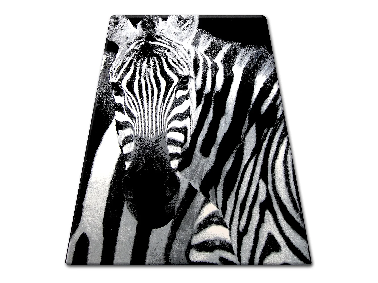 Tapis BCF FLASH 33302/190 160x225 cm