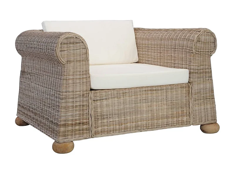 Fauteuil met kussens natuurlijk rattan NL403344