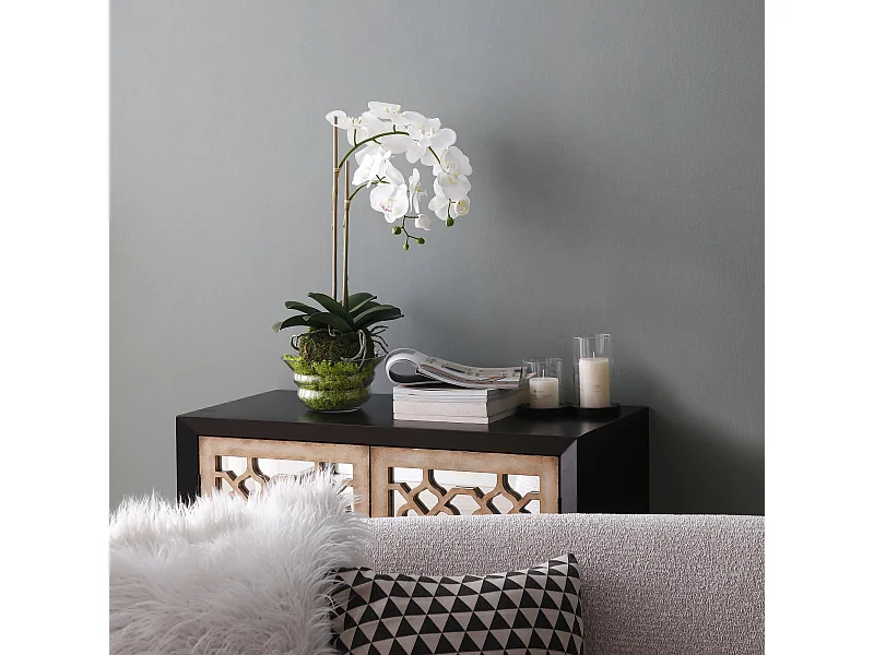 Orchidée Artificielle en Terre Petit format - Blanc / 70 cm