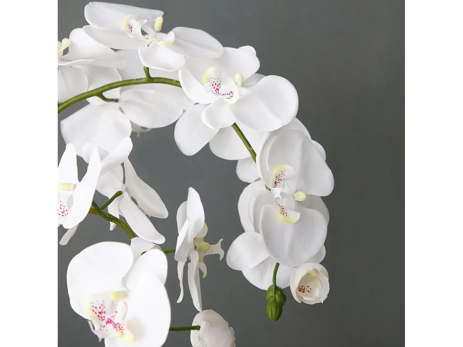 Orchidée Artificielle en Terre Moyen format - Blanc / 75 cm