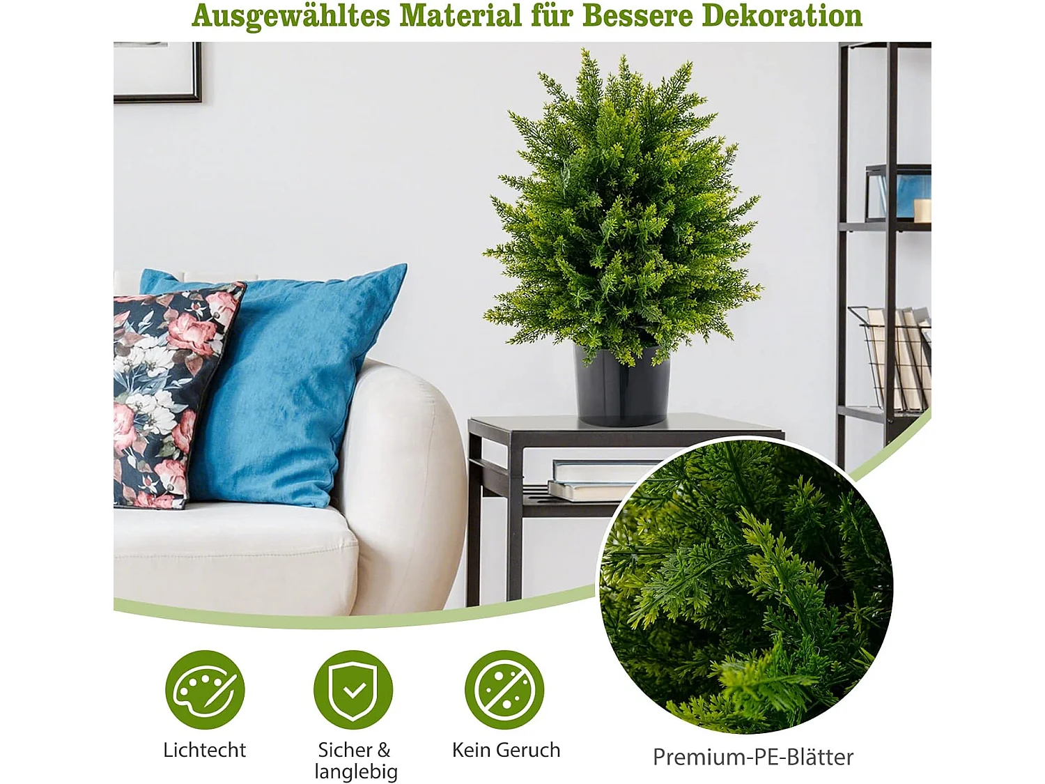 Zeder Buchsbaum (2er Set)