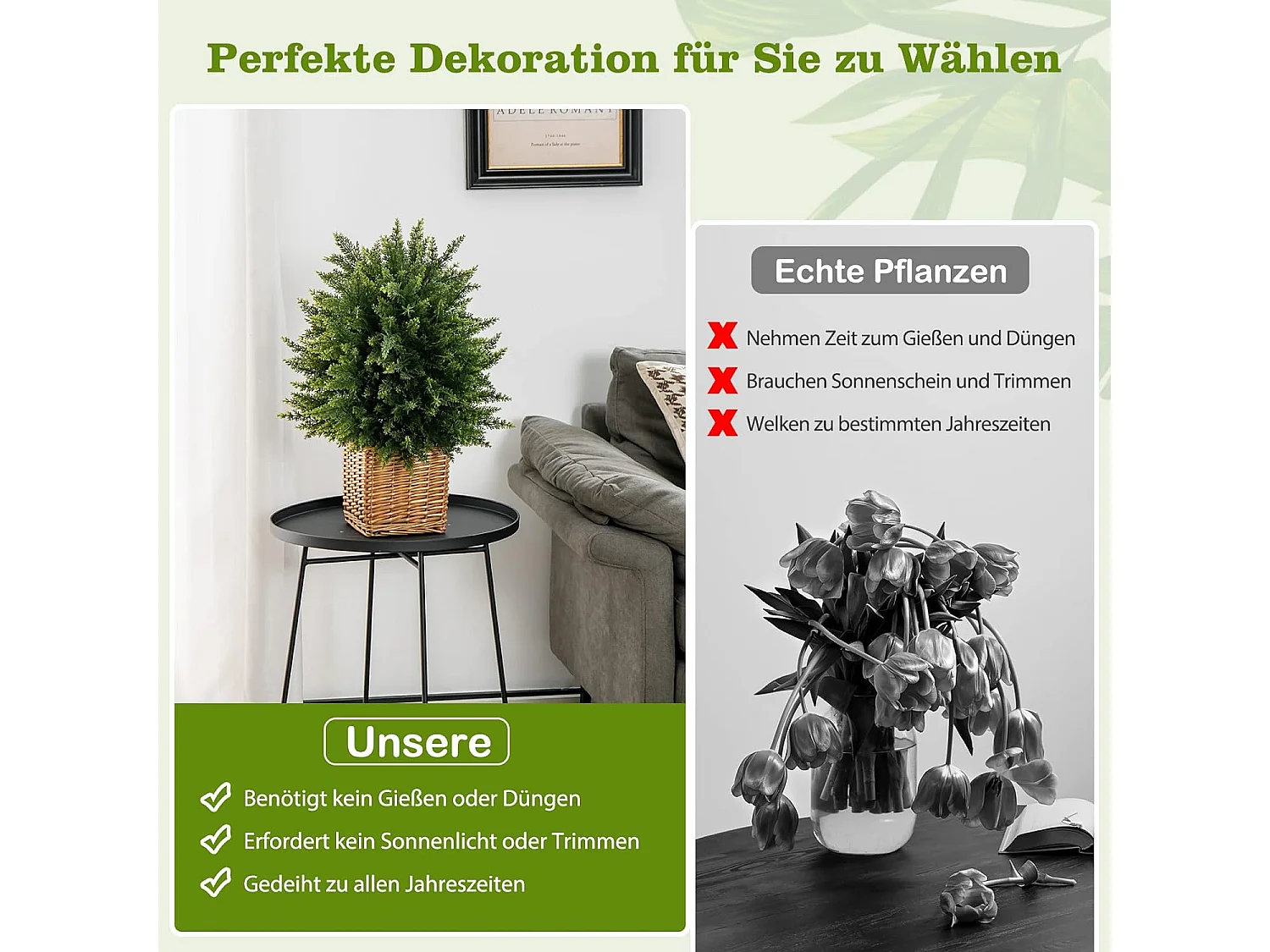 Zeder Buchsbaum (2er Set)