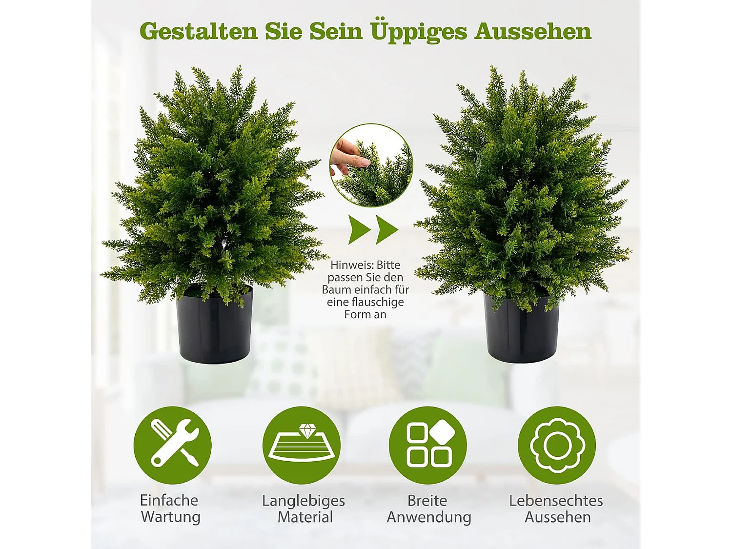 Zeder Buchsbaum (2er Set)