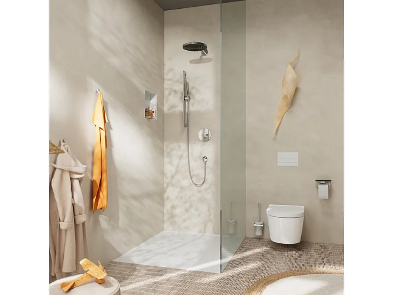 HANSGROHE HANSGROHE escobillero de pared cromado