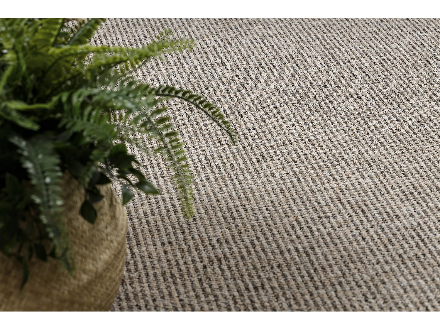 Tapis PRIUS 39 beige  170x230 cm