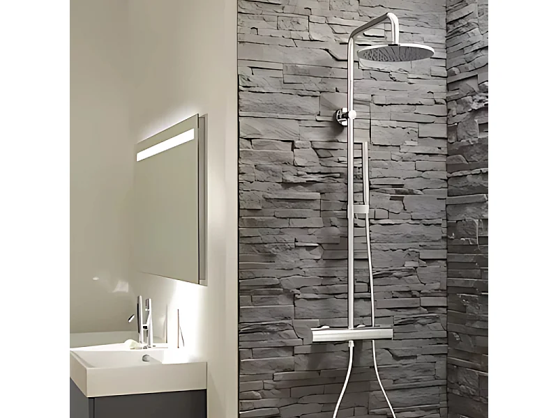 Colonne de douche thermostatique JACOB DELAFON Toobi + nettoyant Briochin