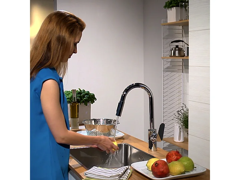 Robinet de cuisine avec douchette HANSGROHE Focus M41 240 2 jets chromé