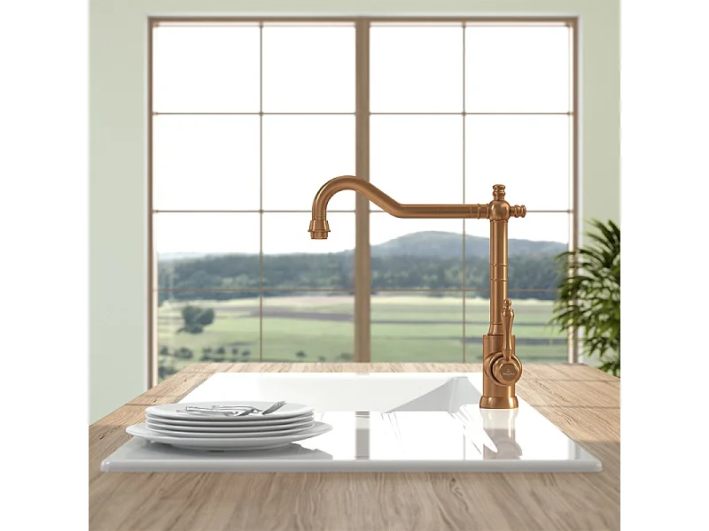 Robinet cuisine VILLEROY ET BOCH Avia 2.0 Bronze + nettoyant