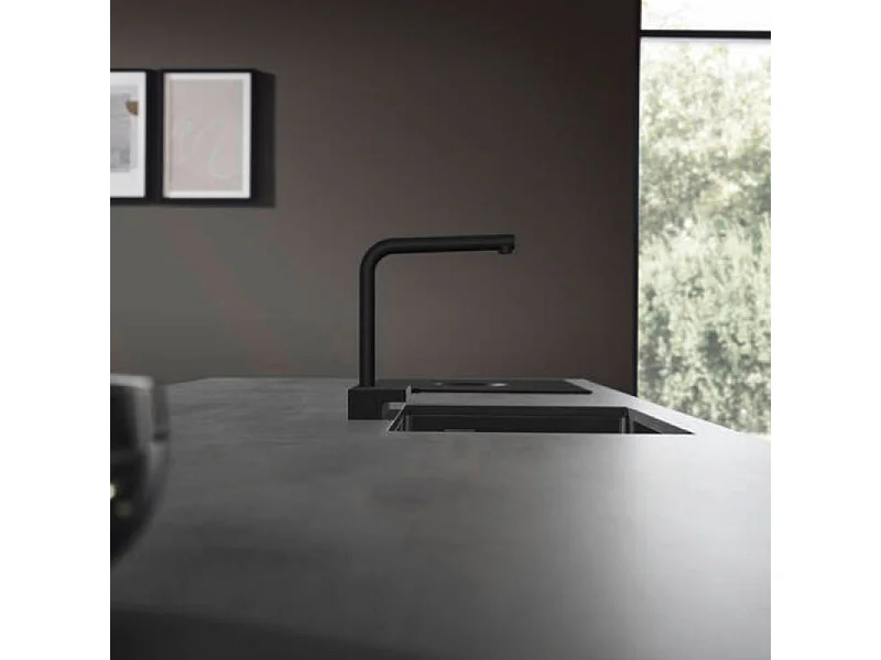 Grifo de cocina con ducha HANSGROHE Aquno Select M81 250 2 chorros negro mate