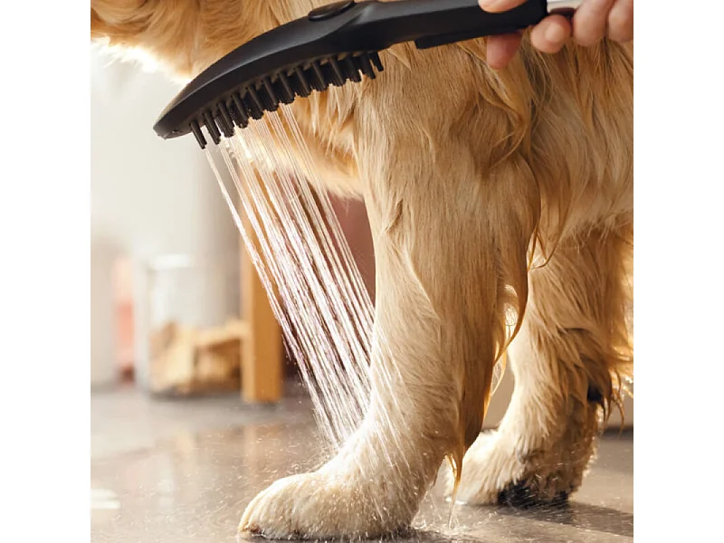 Douchette pour chien HANSGROHE DogShower 3 jets Noir