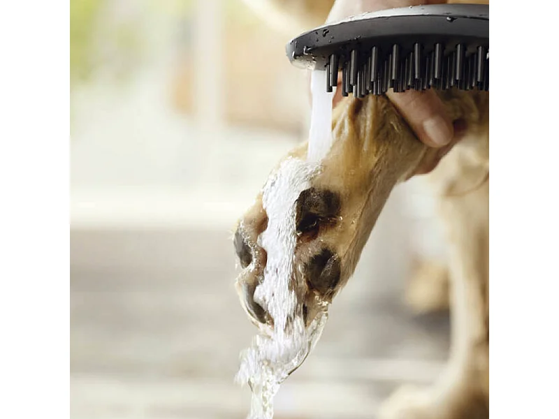 Douchette pour chien HANSGROHE DogShower 3 jets Noir