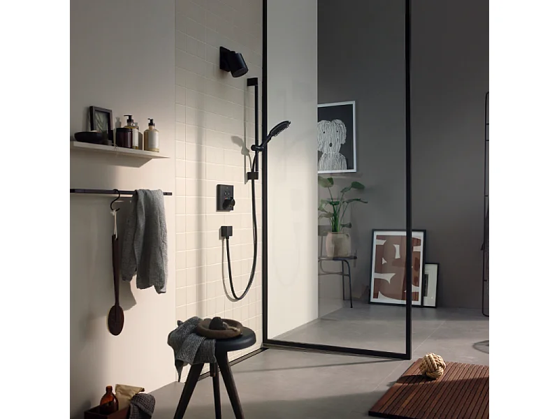 Douchette pour chien HANSGROHE DogShower 3 jets Noir