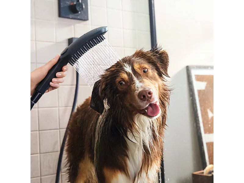 Douchette pour chien HANSGROHE DogShower 3 jets Noir