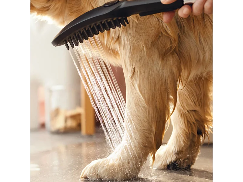 Douchette pour chien HANSGROHE DogShower 3 jets Noir