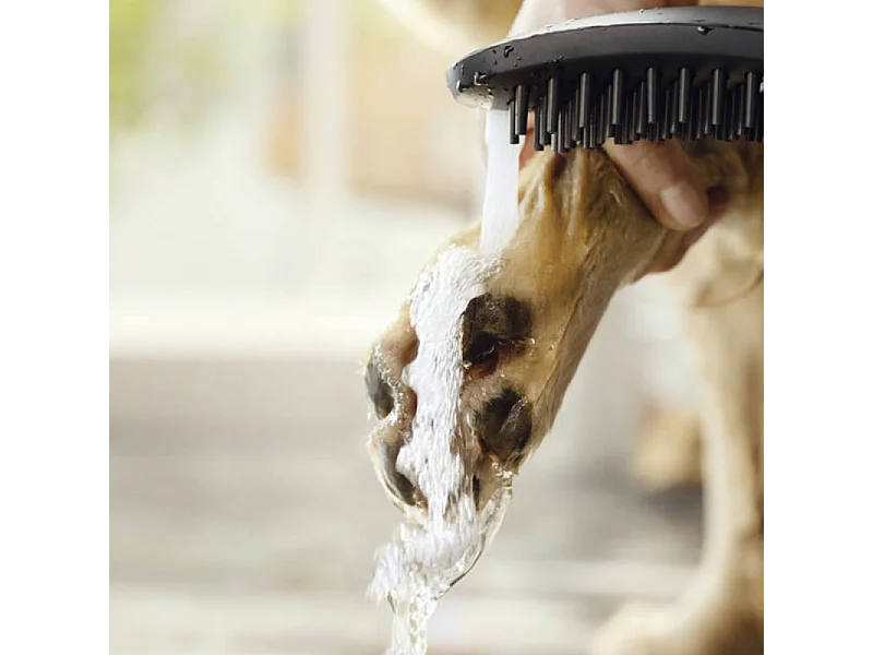 Douchette pour chien HANSGROHE DogShower 3 jets Noir