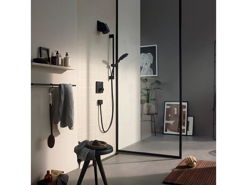 Douchette pour chien HANSGROHE DogShower 3 jets Noir