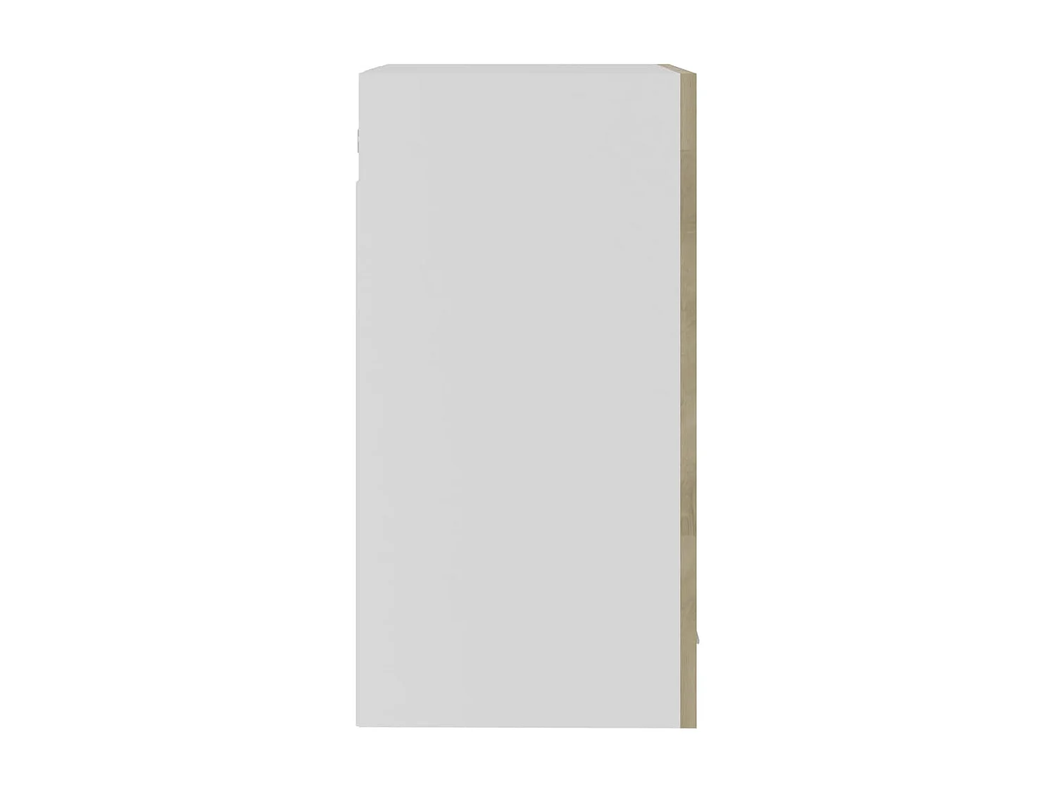 Armoire en verre suspendue Chêne sonoma 40x31x60