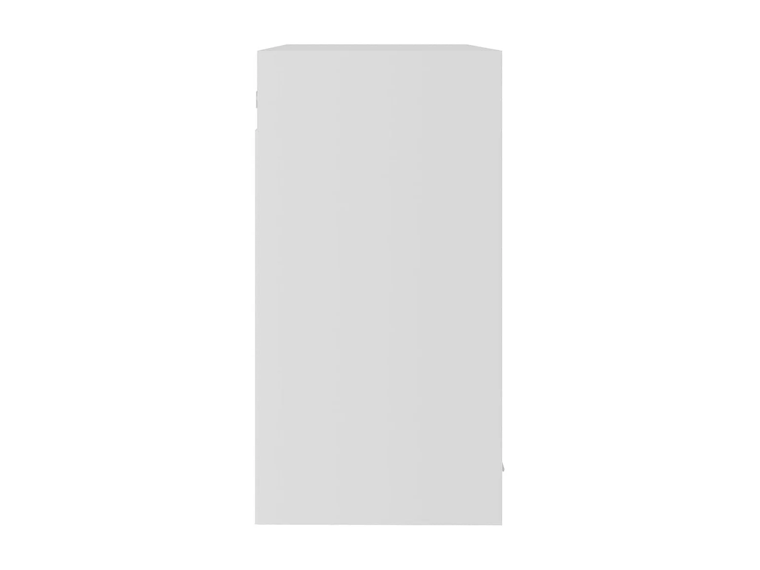 Armoire en verre suspendue Blanc 80x31x60