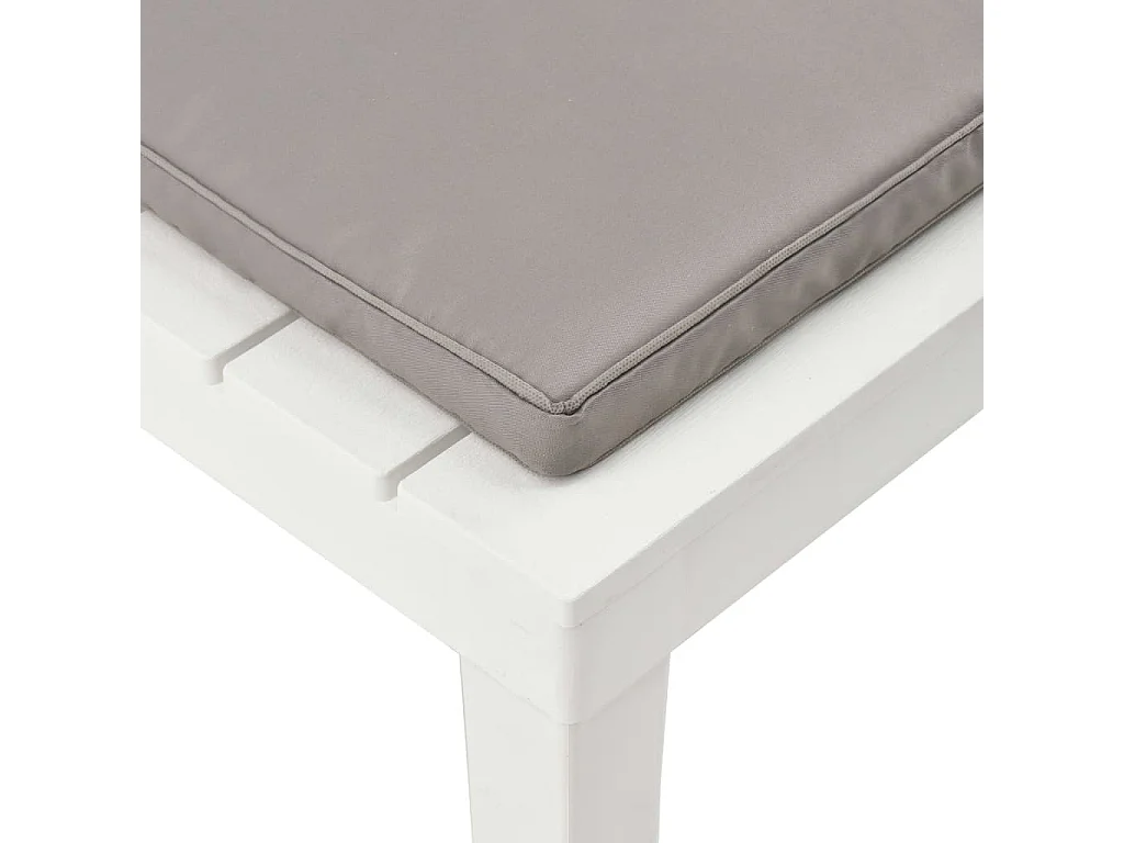 Chaise de salon de jardin avec coussin Plastique Blanc