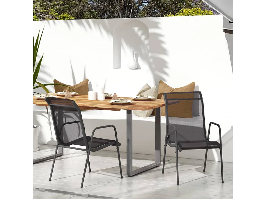 Chaises de jardin 2 pcs Acier et textilène Noir 2