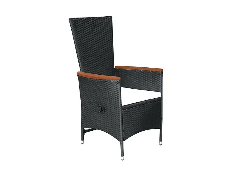 Chaise de jardin résine noire et acacia foncé Fatis - Lot de 2