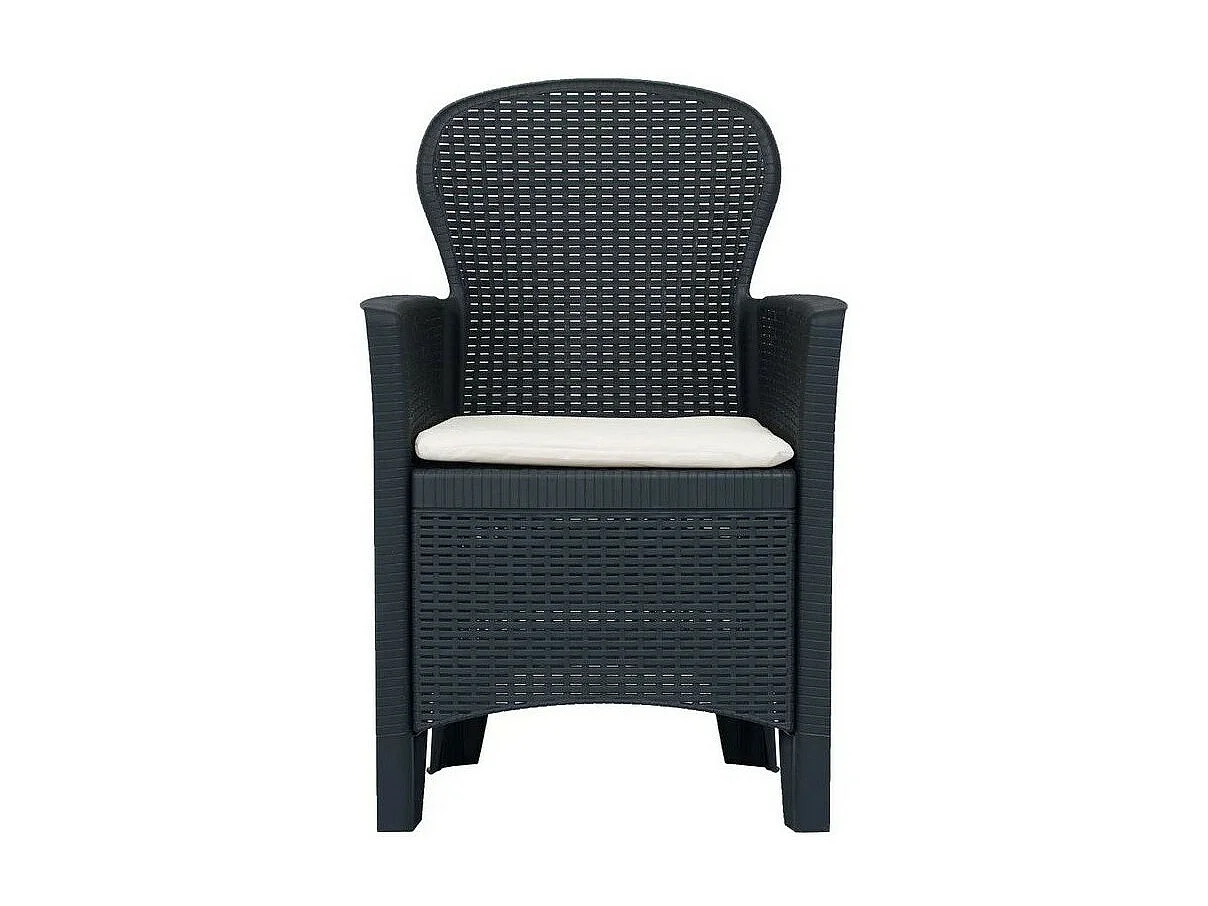 Chaise de jardin plastique anthracite Botli - Lot de 2