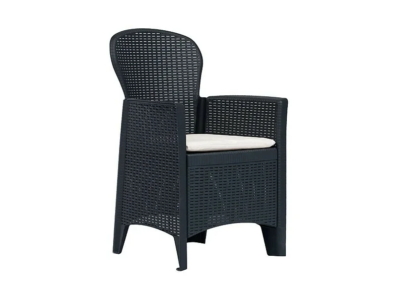 Chaise de jardin plastique anthracite Botli - Lot de 2