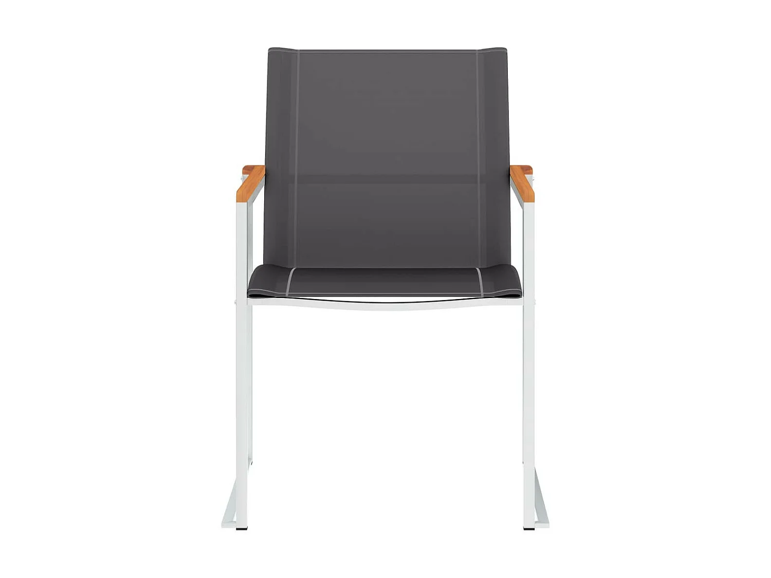 Chaises de jardin 2 pcs Textilène et acier inoxydable Gris