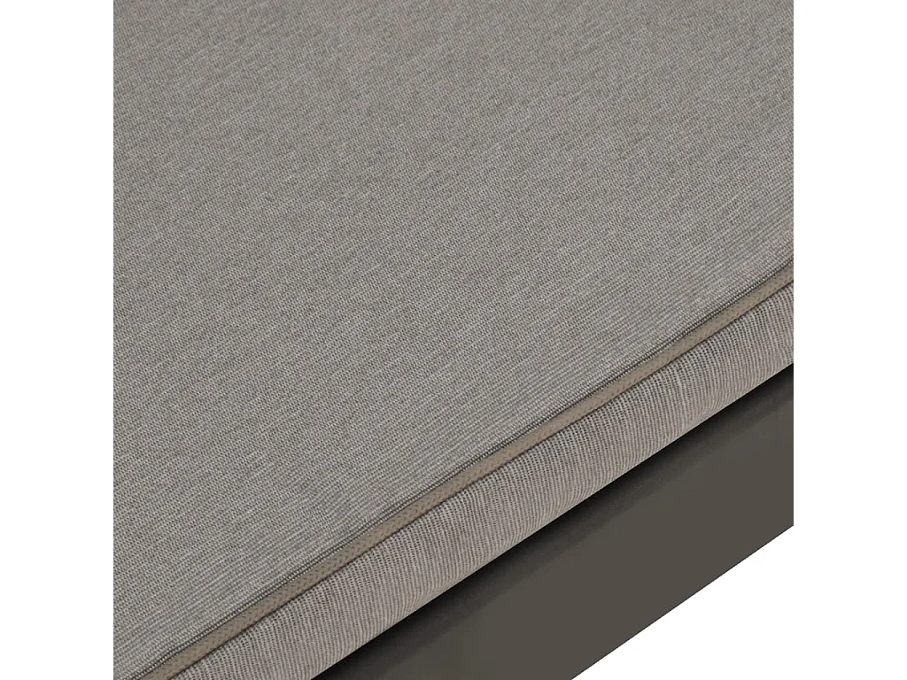 Banc de salon de jardin avec coussin Plastique Gris