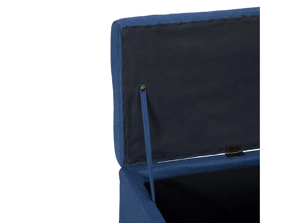 Banc avec compartiment de rangement 116cm Bleu Polyester