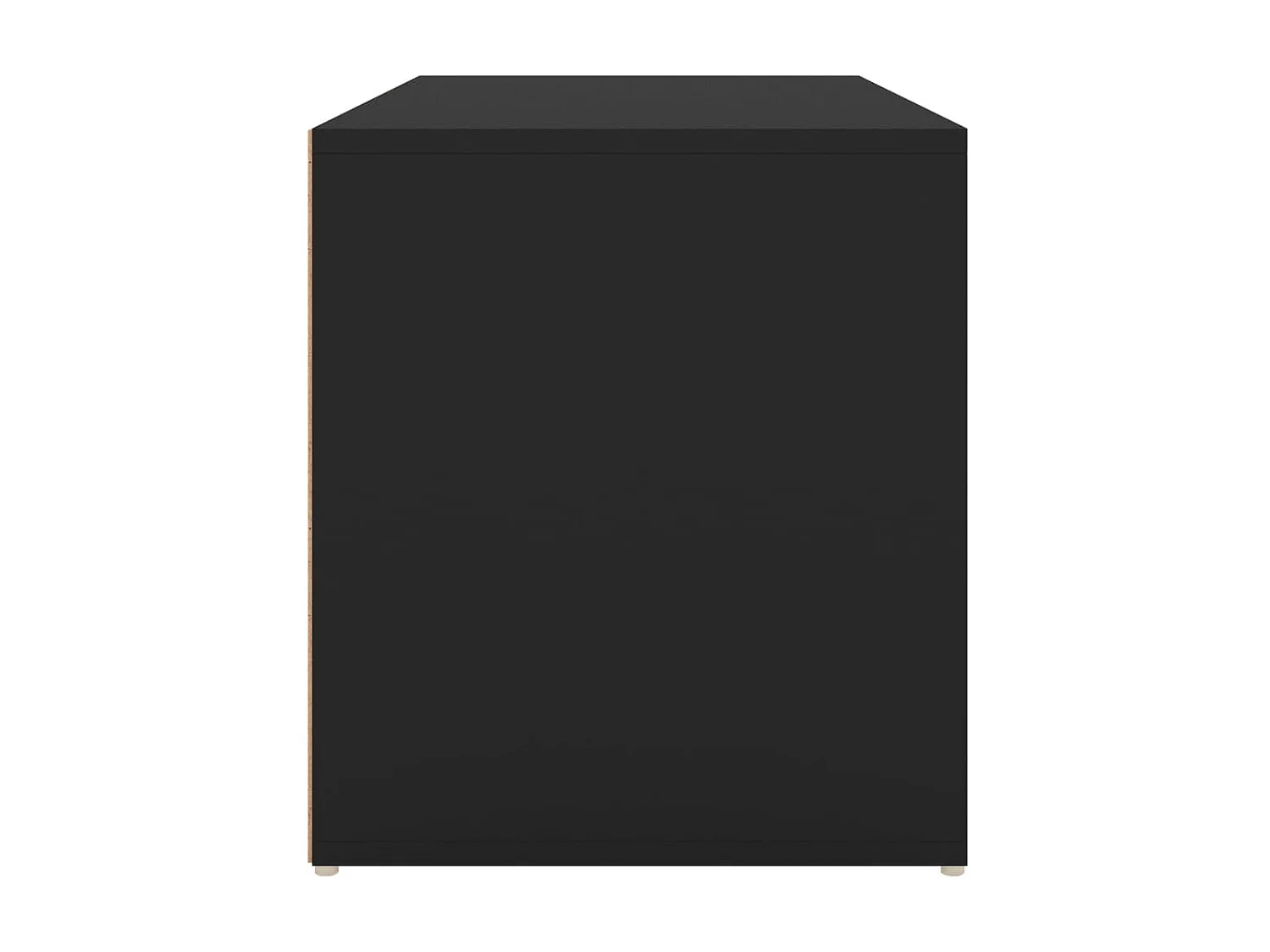 Banc d'entrée 80x40x45 Noir