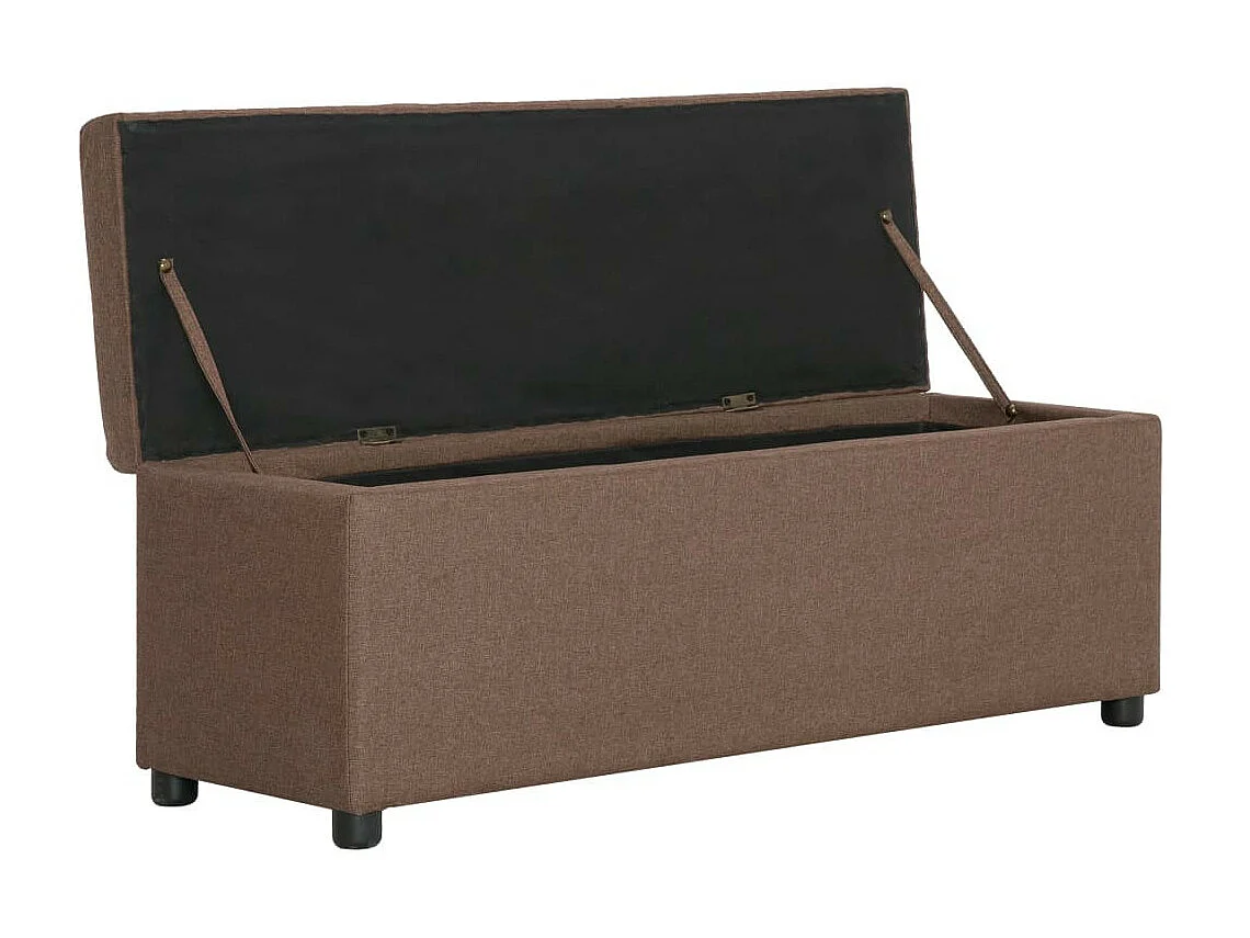 Banc avec compartiment de rangement 116cm Marron Polyester