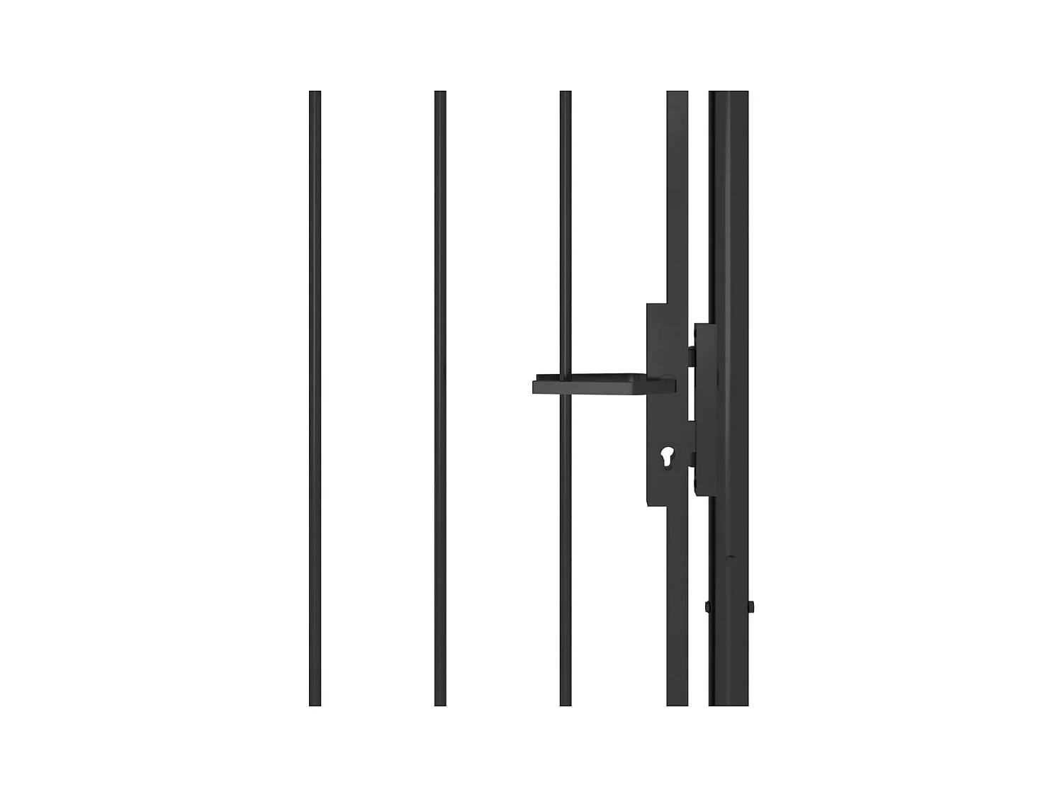 Portail de jardin Acier 1x2,5 m Noir