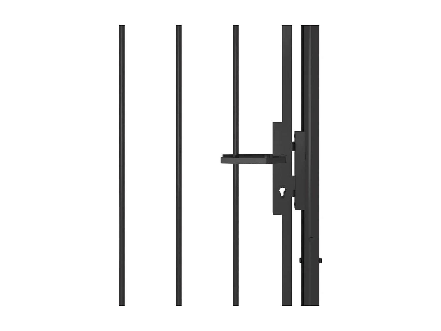 Portail de jardin Acier 1x2,5 m Noir