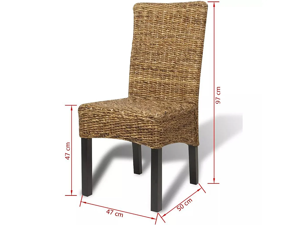 Chaises de salle à manger 2pcs Bois solide de manguier et abaca