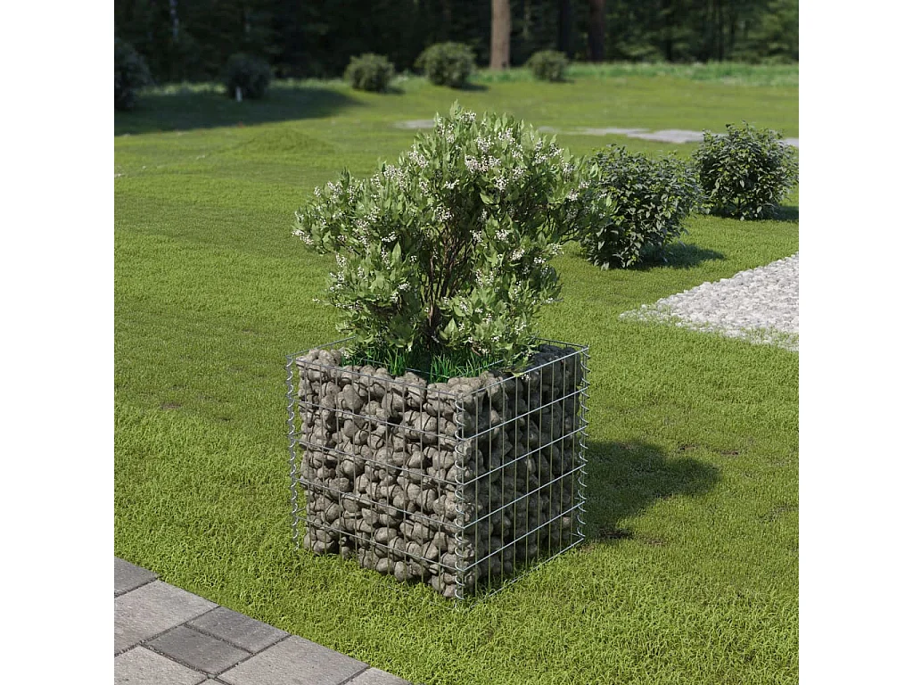 Jardinière à gabion Acier galvanisé 50x50x50