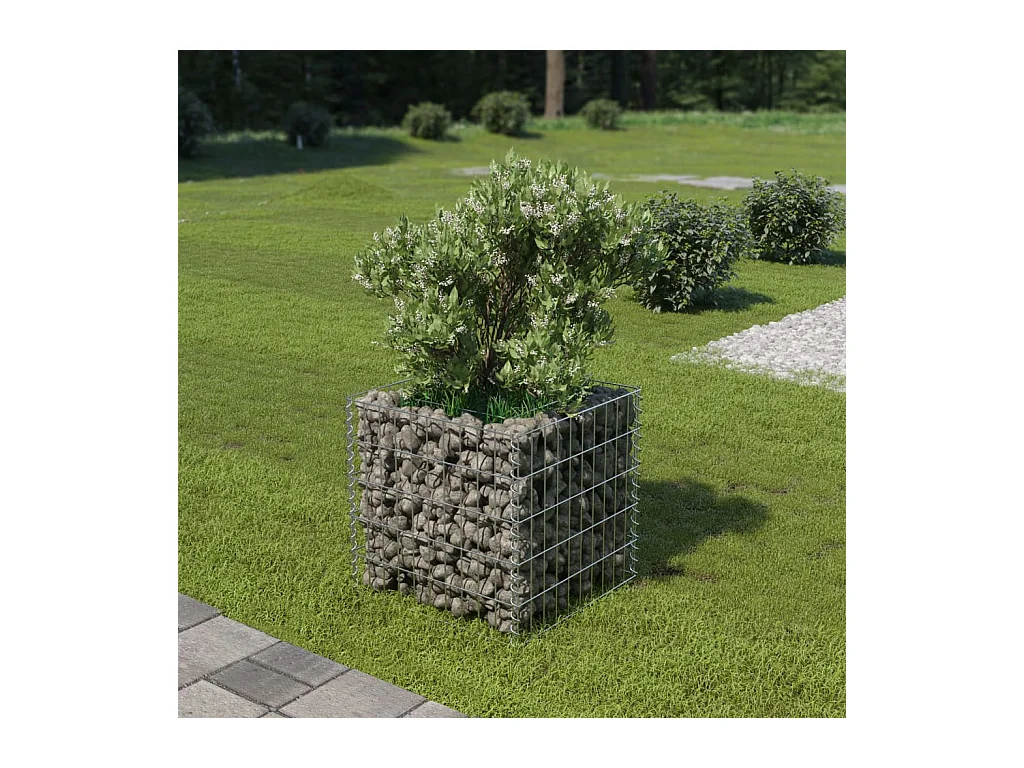 Jardinière à gabion Acier galvanisé 50x50x50